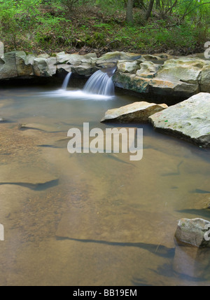 Big Creek, Sicily Island Hills Wildlife Management Area, Louisiana Stock Photo