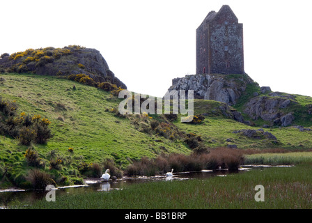 Smailholm Tower, near Kelso in the Scottish Borders, with two swans in the foreground. Stock Photo