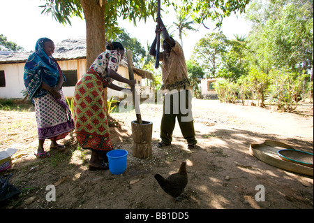 Women grinding corn, Takaungu, Kenya. Stock Photo