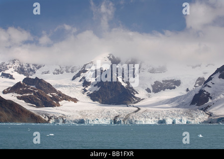 Antarctica, South Georgia, Royal Bay. View of Weddell Glacier. Stock Photo