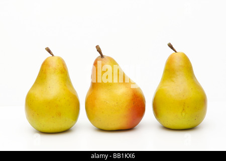 3 (Three) Ripe Forelle Pears horizontal isolated on white. Cutout (cut-out), nobody. Stock Photo