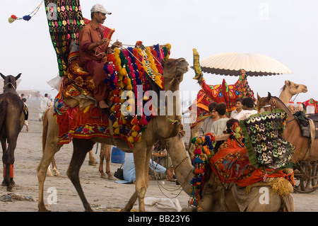 Pakistani s enjoying the camels and the sea on Clifton beach Karachi Pakistan Stock Photo