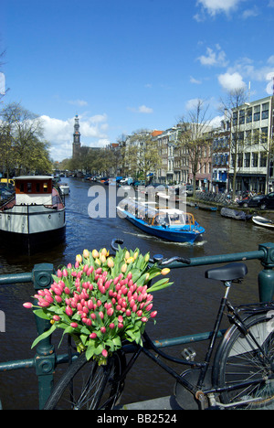 Europe, Netherlands, North Holland, Amsterdam, Tulips and bike on the Prinsengracht, Westerkerk in background Stock Photo