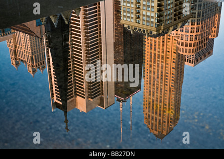 Chicago reflected in the pond Stock Photo