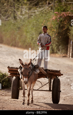 Boy steering a donkey cart in Awasa Ethiopia Stock Photo