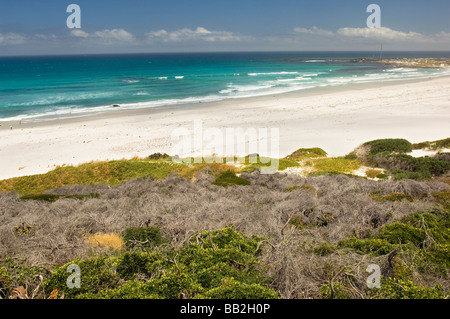 The Beach at Misty Cliffs. Cape Point Peninsula, near Scarborough, Cape Town, South Africa Stock Photo