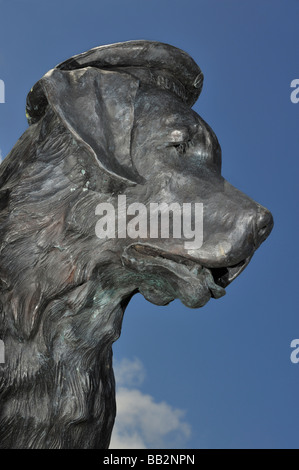 Statue of Bamse largest dog in the Allied Forces World War 2 Stock Photo