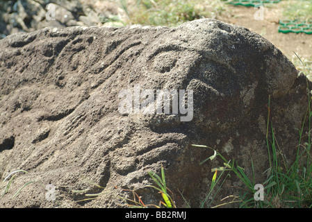 Easter Island moai with birdman petroglyphs carved on his back Stock ...