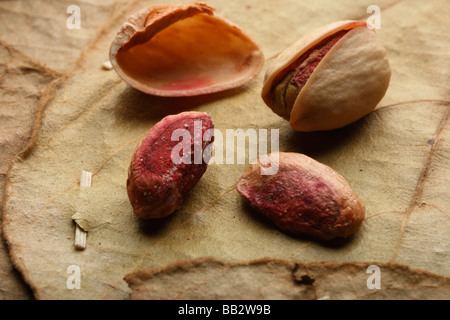 Pista – A dry fruit from mountain areas of middle east Stock Photo