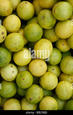 Limone caviale hi-res stock photography and images - Alamy