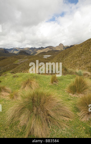 South America, Ecuador.  Cajas National Park , 35km northwest of Cuenca, includes 290 square km of paramo Stock Photo