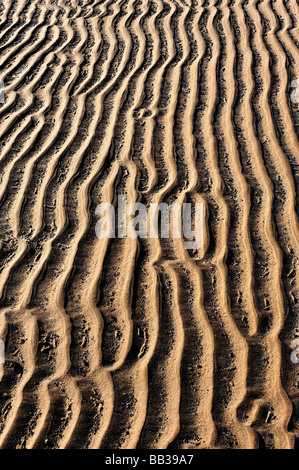 Sand patterns on shoreline at Budle Bay Northumberland Stock Photo
