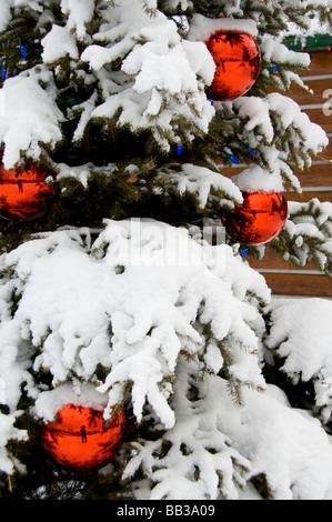 Canada, Alberta, Jasper, Jasper NP. Fairmont Jasper Park Lodge. Stock Photo