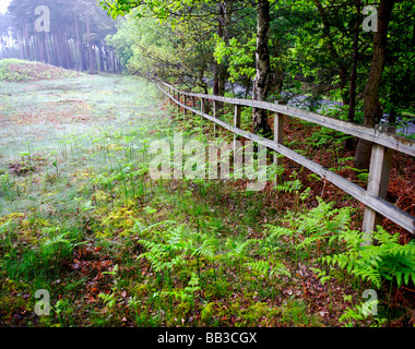 Fence near The Barrows, Mortimer, Berkshire, UK Stock Photo