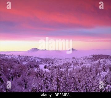 California, Cleveland National Forest, Laguna Mountains, A snow-covered ...