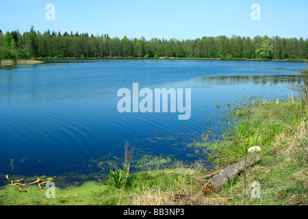 Topilo lake in Bialowieza National Park Poland Stock Photo