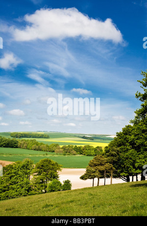 View over farmland and rolling countryside in Wiltshire England UK Stock Photo