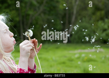 Blonde haired little girl blowing a Dandelion clock in the British countryside. Stock Photo
