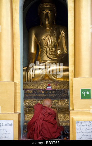 Buddhist monk praying in front of Buddha statue. Shwedagon Paya. Yangon. Myanmar Stock Photo