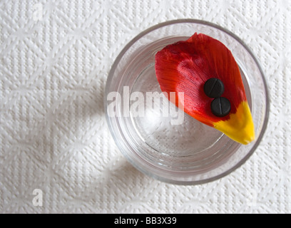 two black tablets on petal floating in glass with water Stock Photo