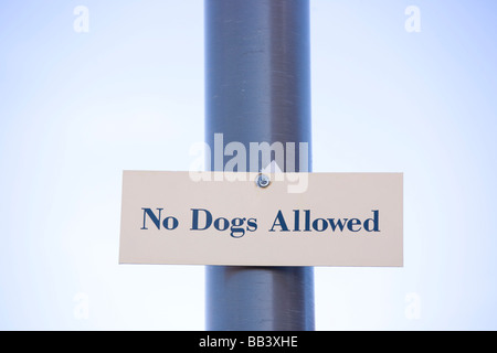 NA, USA, New Mexico, Santa Fe, No Dogs Sign (RF) Stock Photo
