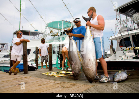 Showing Days Fishing Catch, Ahi Yellowfin and Bigeye tuna, mahi mahi, Oregon Inlet, NC Stock Photo
