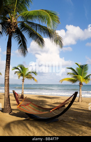 Hammock on a Caribbean Beach Isla Verde Puerto Rico Stock Photo