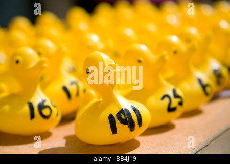 Participants in a Charity plastic duck race at Wallingford, Oxfordshire, UK Stock Photo