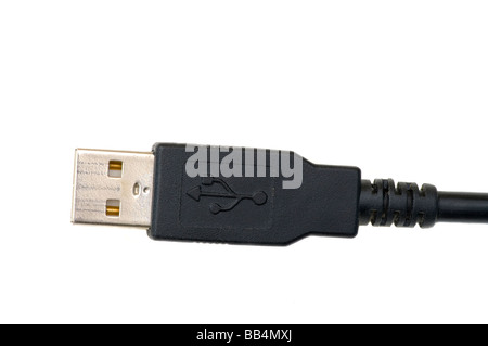 USB Plug Connector usbs plugs connectors Stock Photo