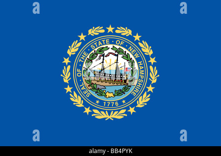 New Hampshire state flag Stock Photo