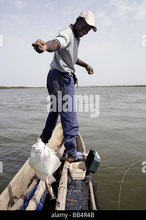 Senegal: Fisherman in his dugout canoe on the river Casamance Stock Photo