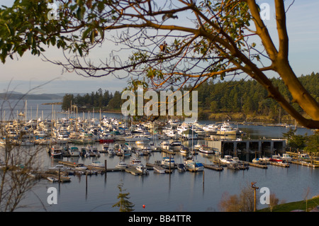 Marina at Roche Harbor, San Juan Island, Washington State Stock Photo
