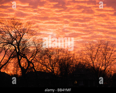 Altocumulus clouds at sunset Stock Photo