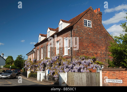 England Berkshire Cookham Sutton Road Wistaria Cottage Wisteria hung front of John Lewis Partnership building Stock Photo