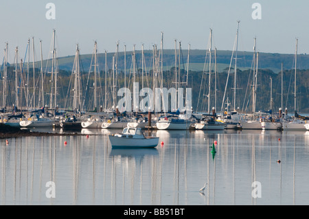 Yachts at anchor in the early morning sunshine in Poole Harbour, Dorset, UK Stock Photo