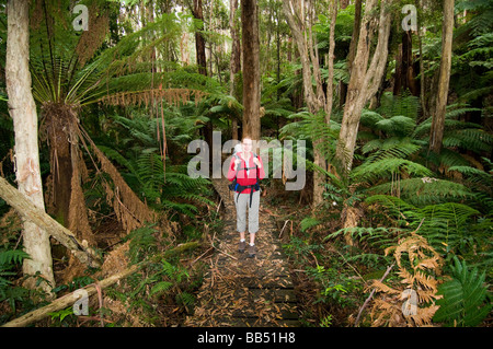 Hiking in Wilsons Promontory National Park Victoria Australia Stock Photo