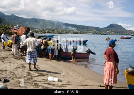 fishermen bring back fish at the beach of Portsmouth, Dominica Stock Photo