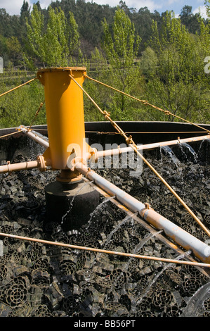 tricking filter in a sewage treatment works Stock Photo