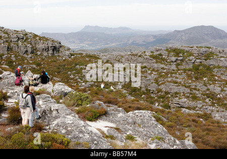 Looking South from the top of Table Top mountain in Cape Town, South Africa Stock Photo