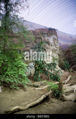 philippines monitor lizard Stock Photo - Alamy