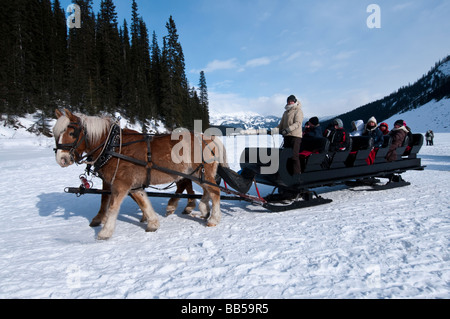 Taking a horse drawn sleigh ride at the Lake Louise Mountain Resort Stock Photo