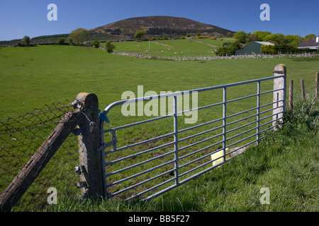 gate to farmland beneath Slieve Gullion mountain in the ring of gullion south county armagh northern ireland uk Stock Photo