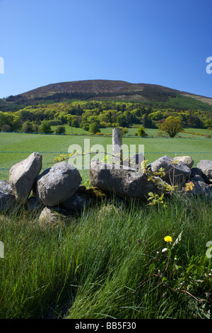 hedge and dry stone wall field boundary beneath Slieve Gullion mountain in the ring of gullion south county armagh Stock Photo