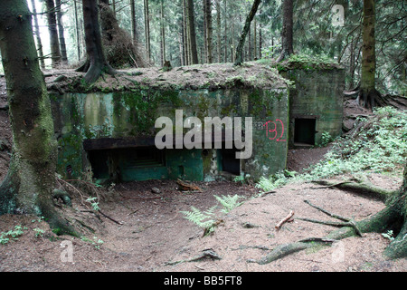 Bunkers in Buhlert wood in the Eiffel region of Germany which formed part of the Nazi Westwall defence system in WWII Stock Photo