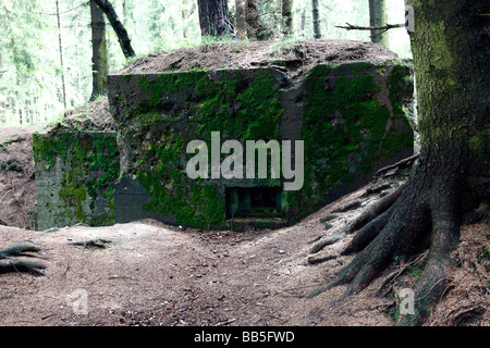 Bunkers in Buhlert wood in the Eiffel region of Germany which formed part of the Nazi Westwall defence system in WWII Stock Photo