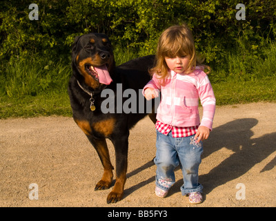 Little Girl, Big Dog - Best of Friends Stock Photo