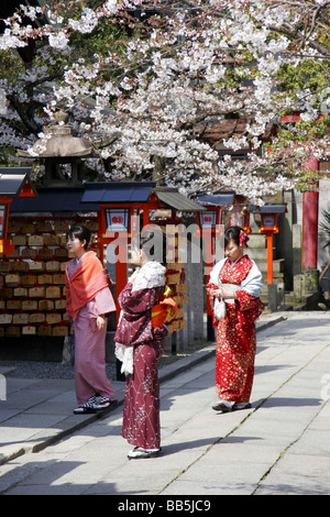 Women dressed as Geisha wearing Kimono at a temple in Kyoto, Japan. Stock Photo