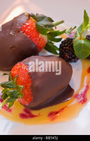 cheesecake stuffed strawberries dipped in Belgian dark chocolate Watermark Restaurant Ventura California United States Stock Photo