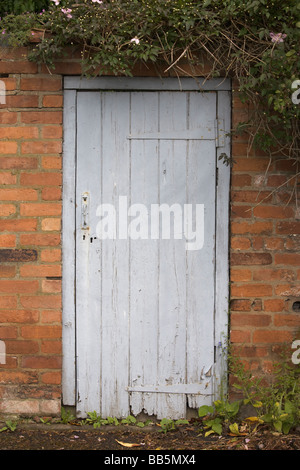 grey wooden door in brick wall with overhanging plants Stock Photo