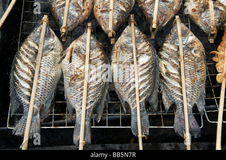 Fresh Mekong river fish grilling on a street BBQ in Luang Prabang Laos Stock Photo